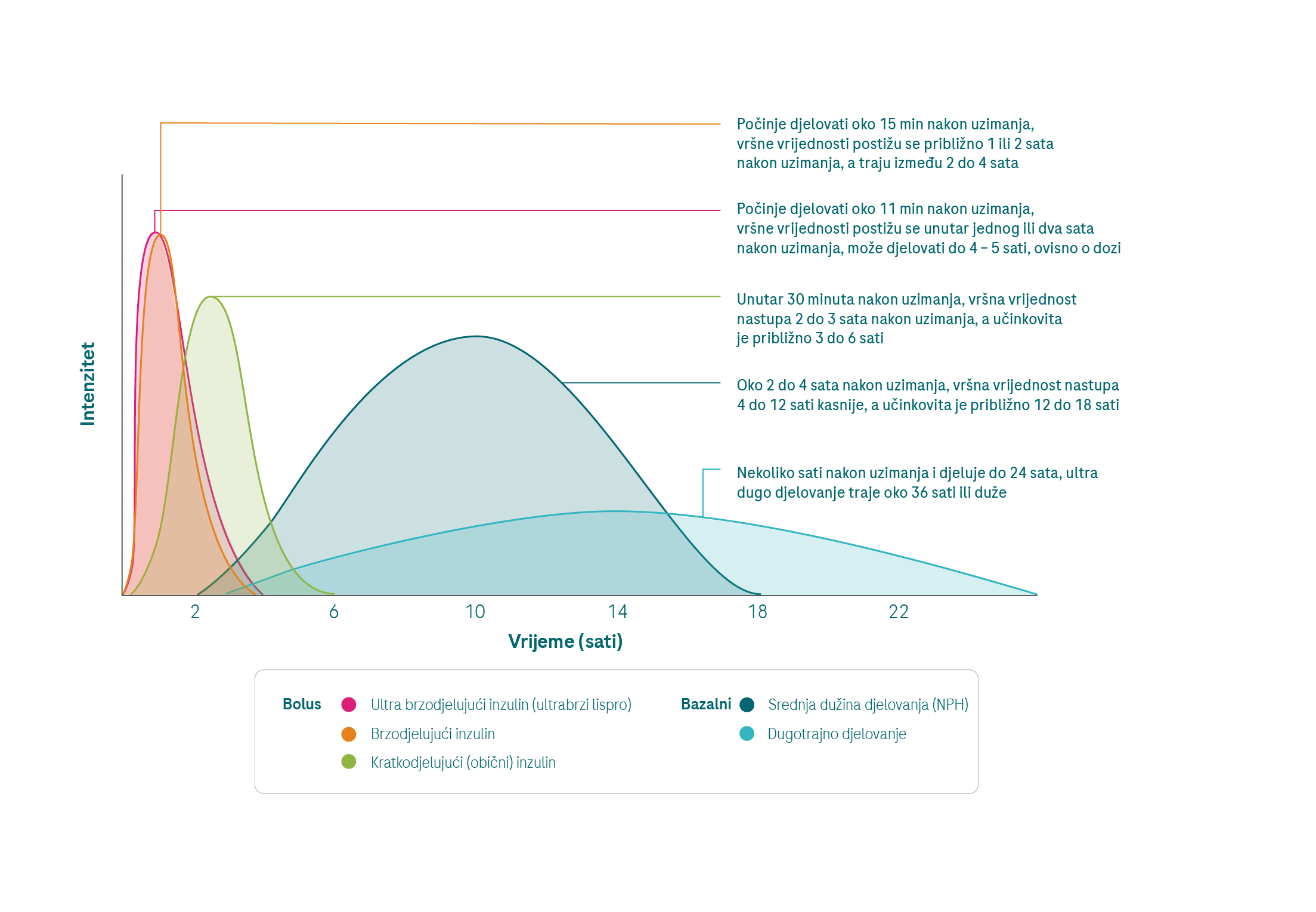 hypo causes_ insulin_G