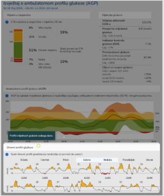 AGP report (9)